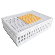 Best price plastic transport crate cage for pigeon and quail transport cage